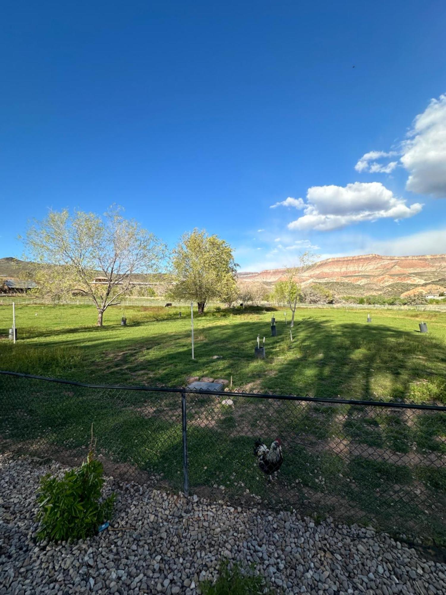 Copper Creek Farm Vila Toquerville Exterior foto